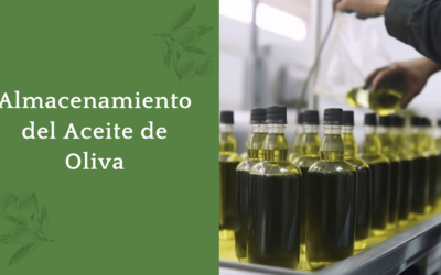 El almacenamiento del aceite de oliva: claves para un sabor óptimo