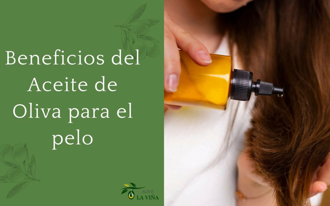 Aceite de oliva para el pelo: beneficios y cómo usarlo para un cabello saludable