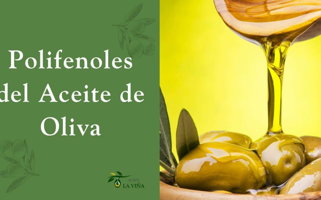 Polifenoles del aceite de oliva: El secreto de la salud y la calidad