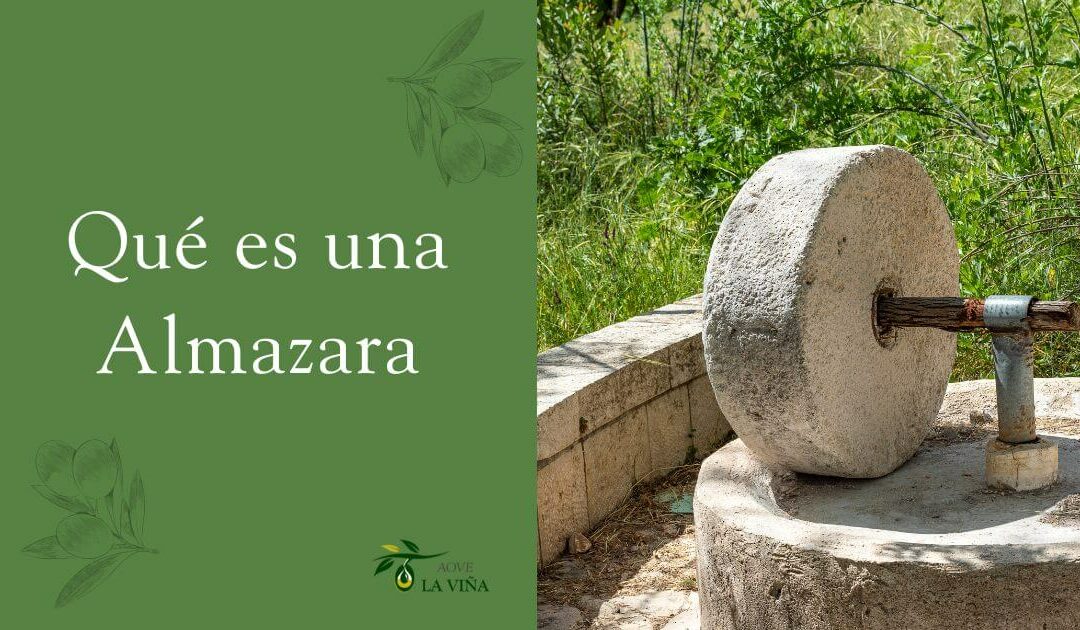 Qué es una almazara: historia, funcionamiento e importancia en el aceite de oliva