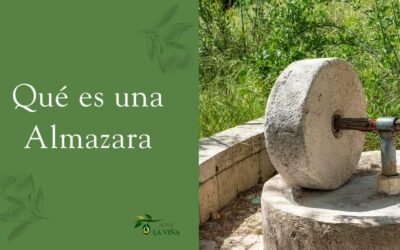 Qué es una almazara: historia, funcionamiento e importancia en el aceite de oliva